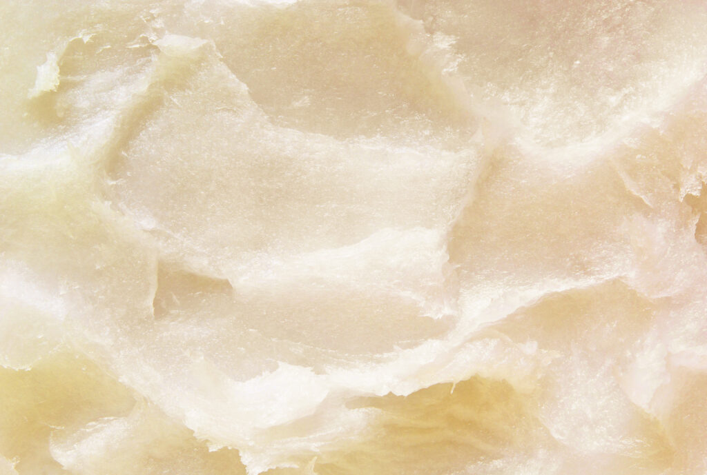 beef-tallow